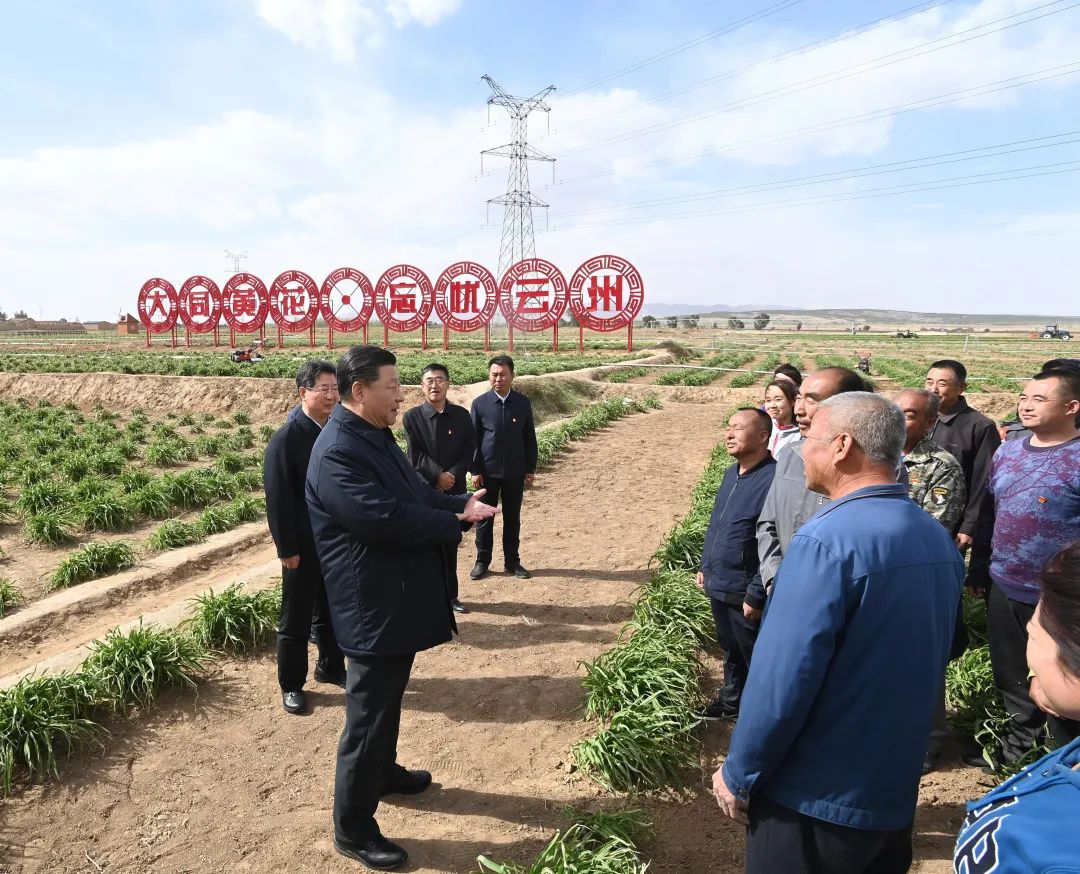 2020年5月11日，習近平考察山西大同市云州區(qū)有機黃花標準化種植基地。新華社記者 李學仁 攝
