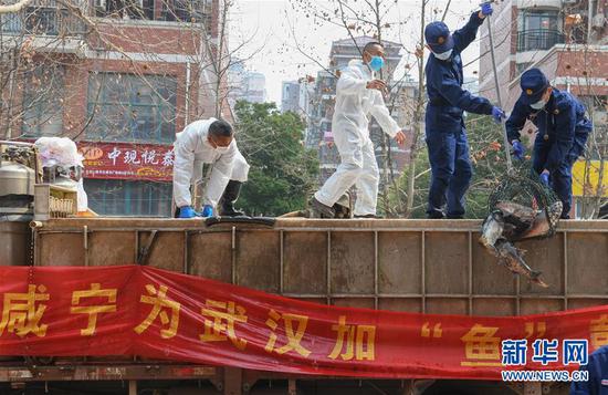 3月13日，一批運(yùn)到湖北省武漢市硚口區(qū)華生漢口城市廣場(chǎng)社區(qū)的活魚在卸貨。當(dāng)日，首批100噸調(diào)配自咸寧市的活魚運(yùn)抵武漢市硚口區(qū)11個(gè)街道下轄社區(qū)。 新華社記者 程敏 攝